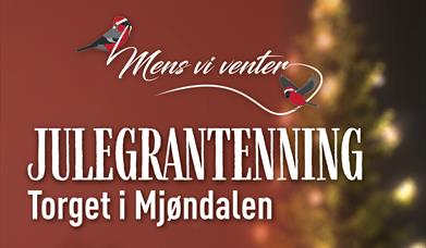 Julegrantenning i Mjøndalen