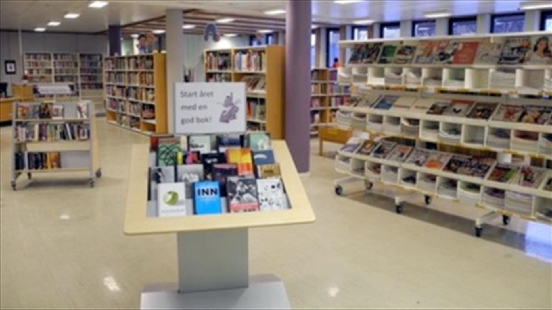 Hokksund bibliotek