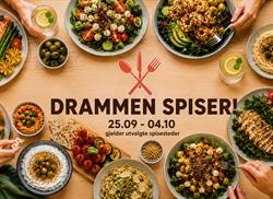 Drammen kulturhus