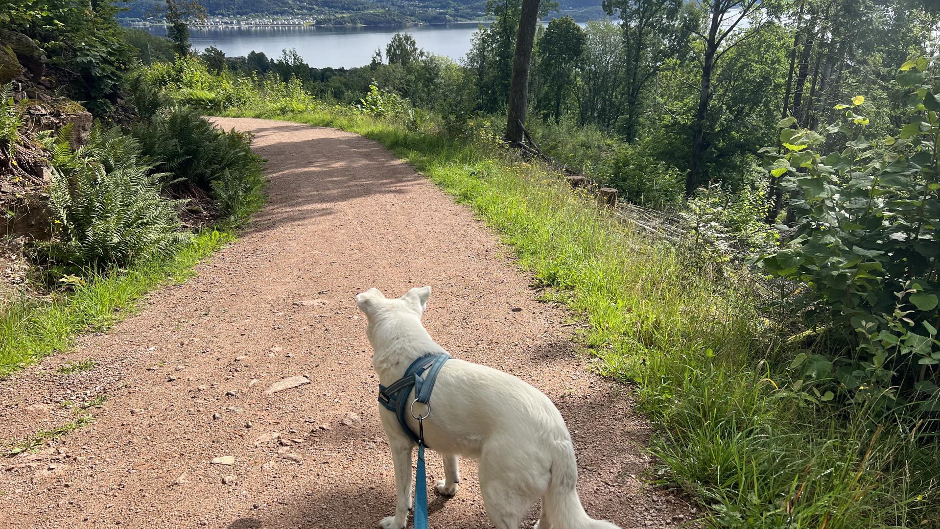 Opplev hva Drammen har å by på av natur