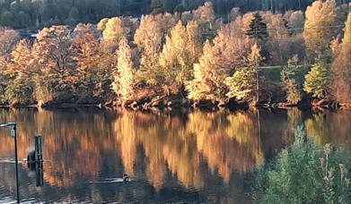 Seniornett høst i Drammen