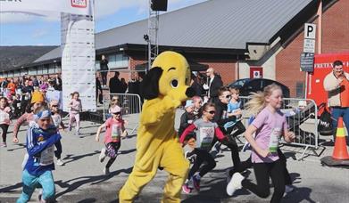 Vår maskott SAFE er på plass
