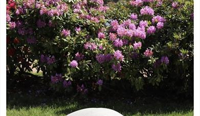 Barbro Raen Thomassen. Frø. Skulpturer i Svelvik 2025