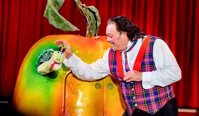 Cirkus Arnardo
