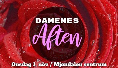 Damenes Aften i Mjøndalen