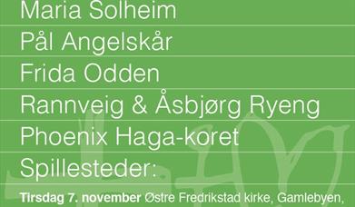 Dråpekonsert i Strømsø kirke 8. november