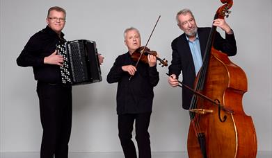 Foto: Ragnhild Elnæs / Kolonihaven