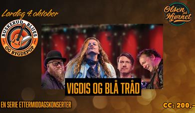 Vigdis og Blå Tråd