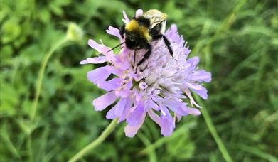 Hage på naturens premisser