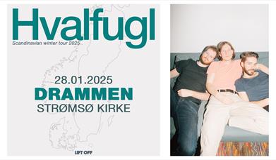 Hvalfugl kommer til Drammen.