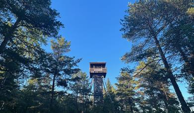 Risdalstårnet