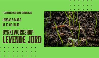 Dyrkeworkshop: Levende jord