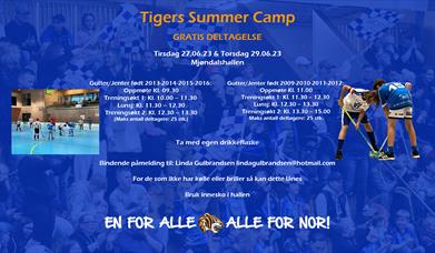 Meld deg på gratis innebandyskole i juni!