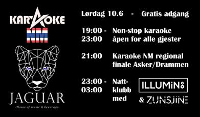 Karaoke NM regional finale
