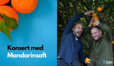 Bandet "Mandarinsaft"