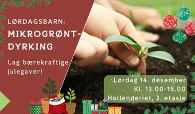 Kurs i mikrogrøntdyrking