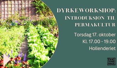 Dyrkeworkshop