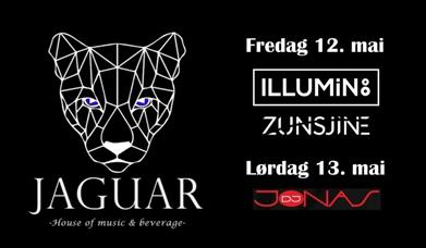 Dj party