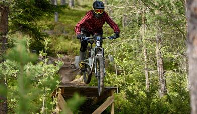 Sommersesongen åpner i Aron!