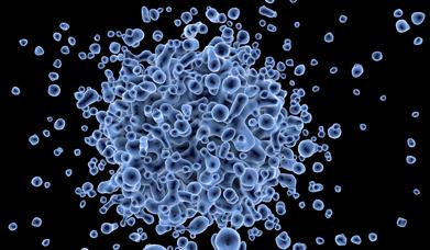 Superbugs