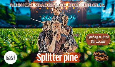 Splitter Pine