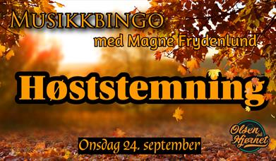 Musikkbingo