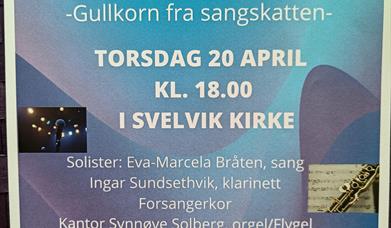 Vi synger sammen-Gullkorn fra sangskatten