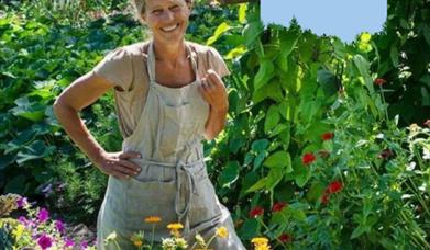 Lær å lage ringblomstsalve