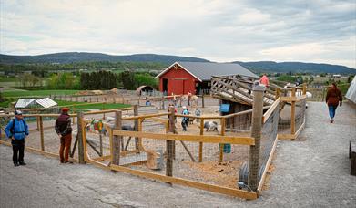 Velkommen til grytebakke