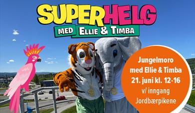 Jungelmoro bilde
