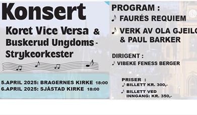 Vårkonsert med Lierkoret Vice Versa og Buskerud Ungdomsstrykeorkester