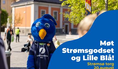 strømsgodset