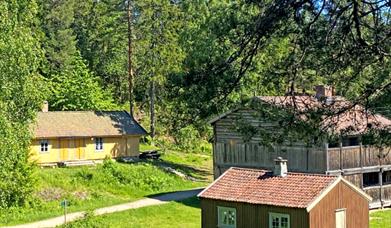 Friluftsmuseet i Bragernesåsen