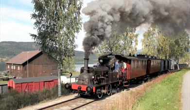Skumringstog på Krøderbanen