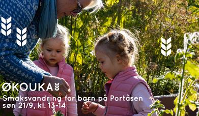 Foto: Mariama Njai