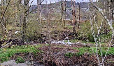 Plast ved Lierelva i 2024