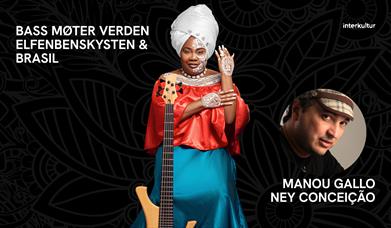 Bass møter verden