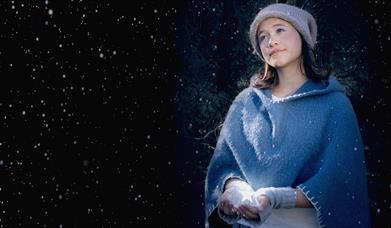 Reisen til Julestjernen