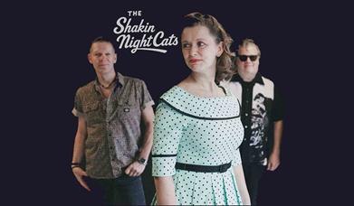 The Shakin' Night Cats