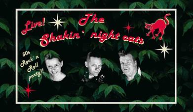 The Shakin' Night Cats