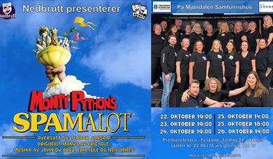Plakat - Nedbrutt Teater - Spamalot