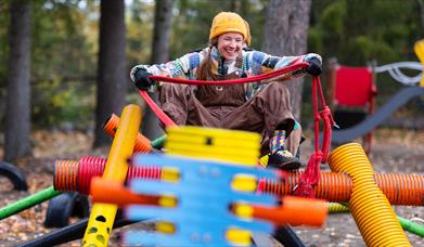 Bragelørdags Bursdagsfest