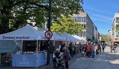 Bondens Marked i sol