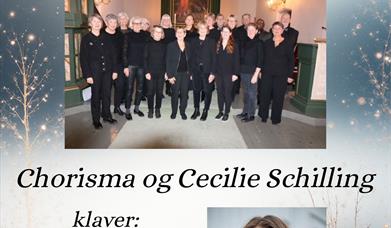 Velkommen til vår julekonsert.