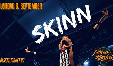 Skinn