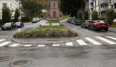 Blomstring i Drammen