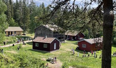 Friluftsmuseet