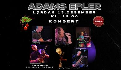 Konsertplakat
