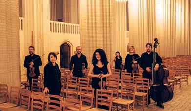 Scandinavian Chamber Soloists. Foto: Anne Mortensen