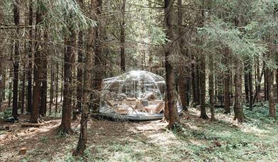 Glamping I Lier